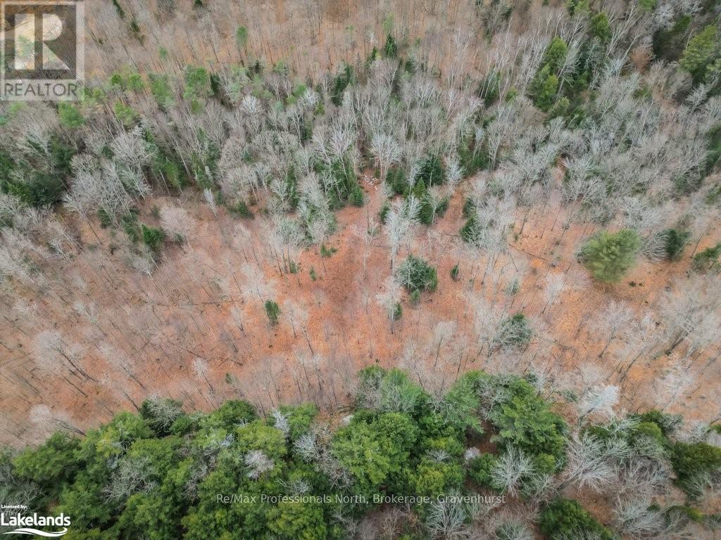 2180-2186 Highway 141, Muskoka Lakes, Ontario  P0B 1M0 - Photo 11 - X10440262