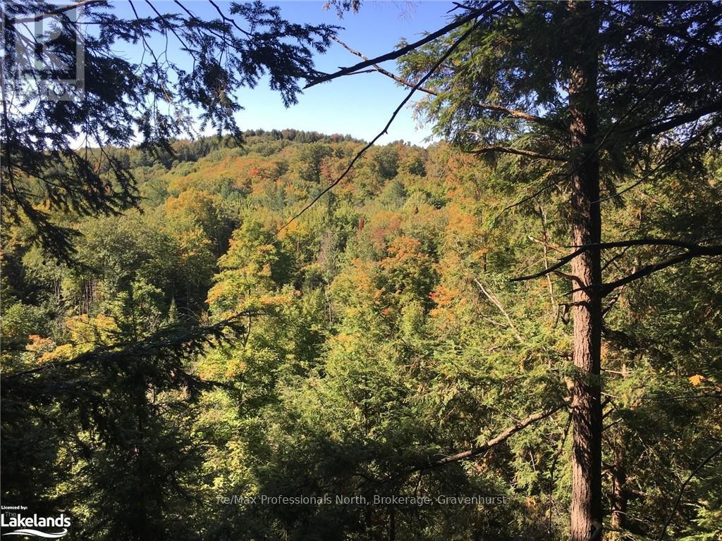 2180-2186 Highway 141, Muskoka Lakes, Ontario  P0B 1M0 - Photo 4 - X10440262