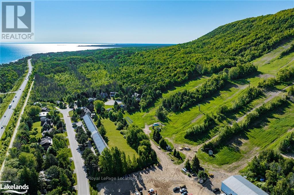 127 Wards Road, Blue Mountains (Blue Mountain Resort Area), Ontario  L9Y 0T7 - Photo 29 - X10434178