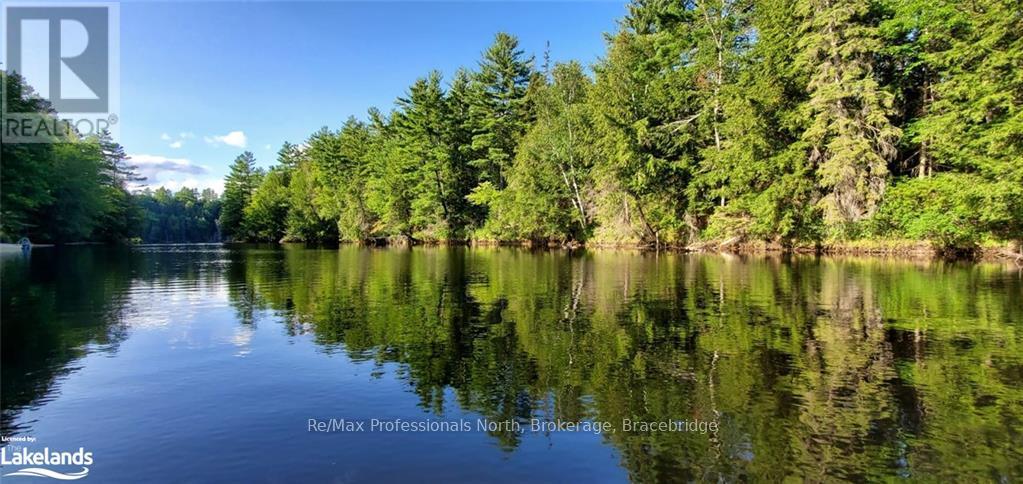 269 Balsam Chutes Road, Huntsville, Ontario  P0B 1L0 - Photo 19 - X10440187