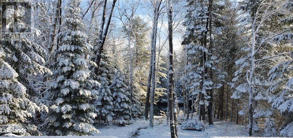 269 Balsam Chutes Road, Huntsville, Ontario  P0B 1L0 - Photo 20 - X10440187