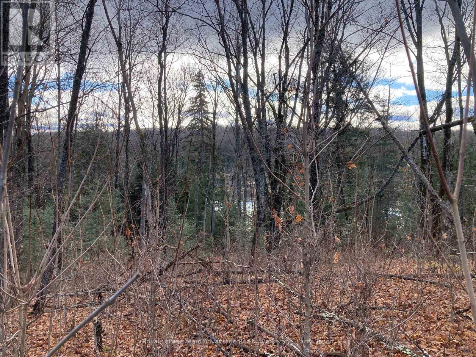 36 LADDS ROAD, Whitestone, Ontario