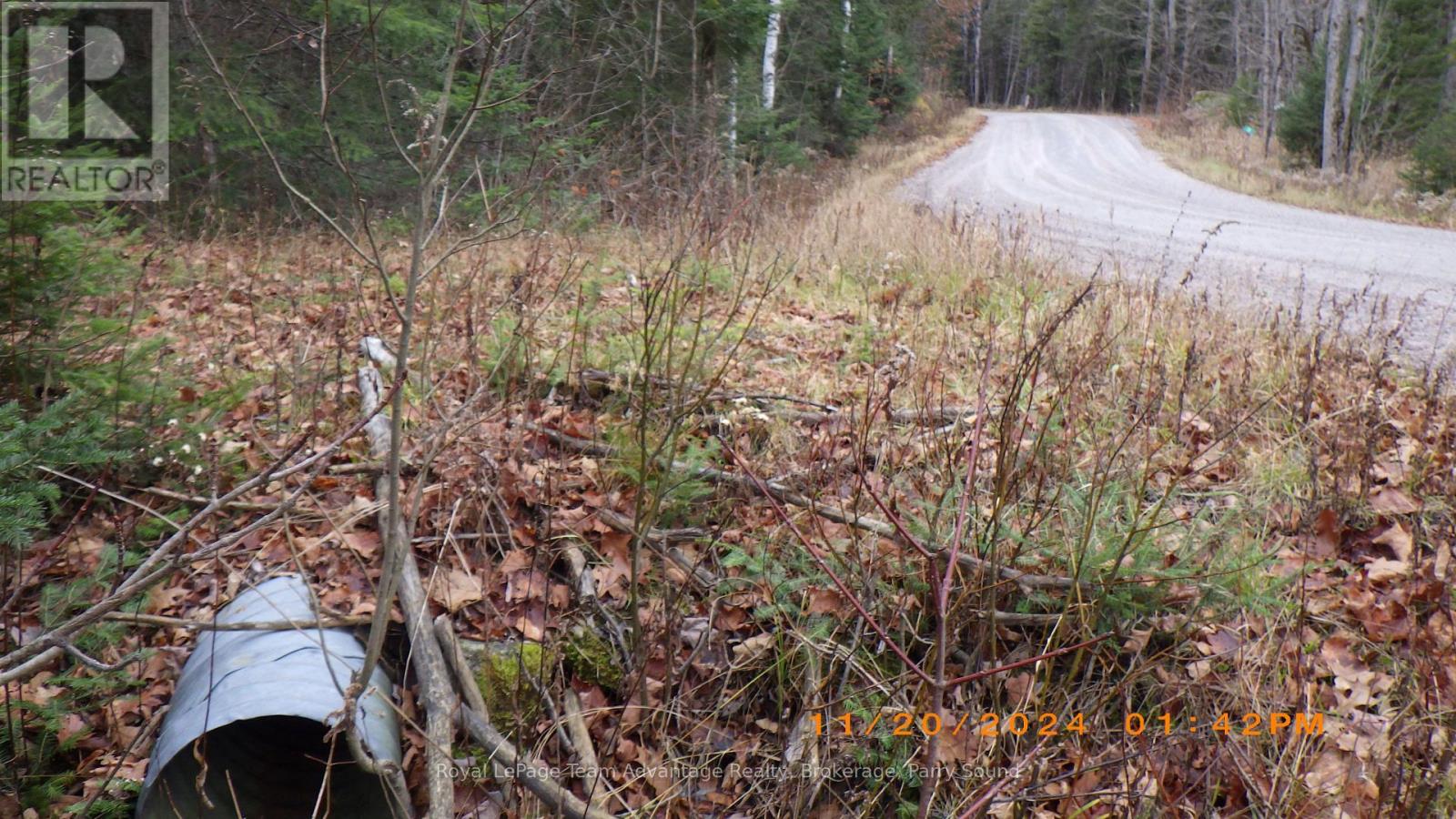 36 Ladds Road, Whitestone, Ontario  P0A 1G0 - Photo 4 - X10440206