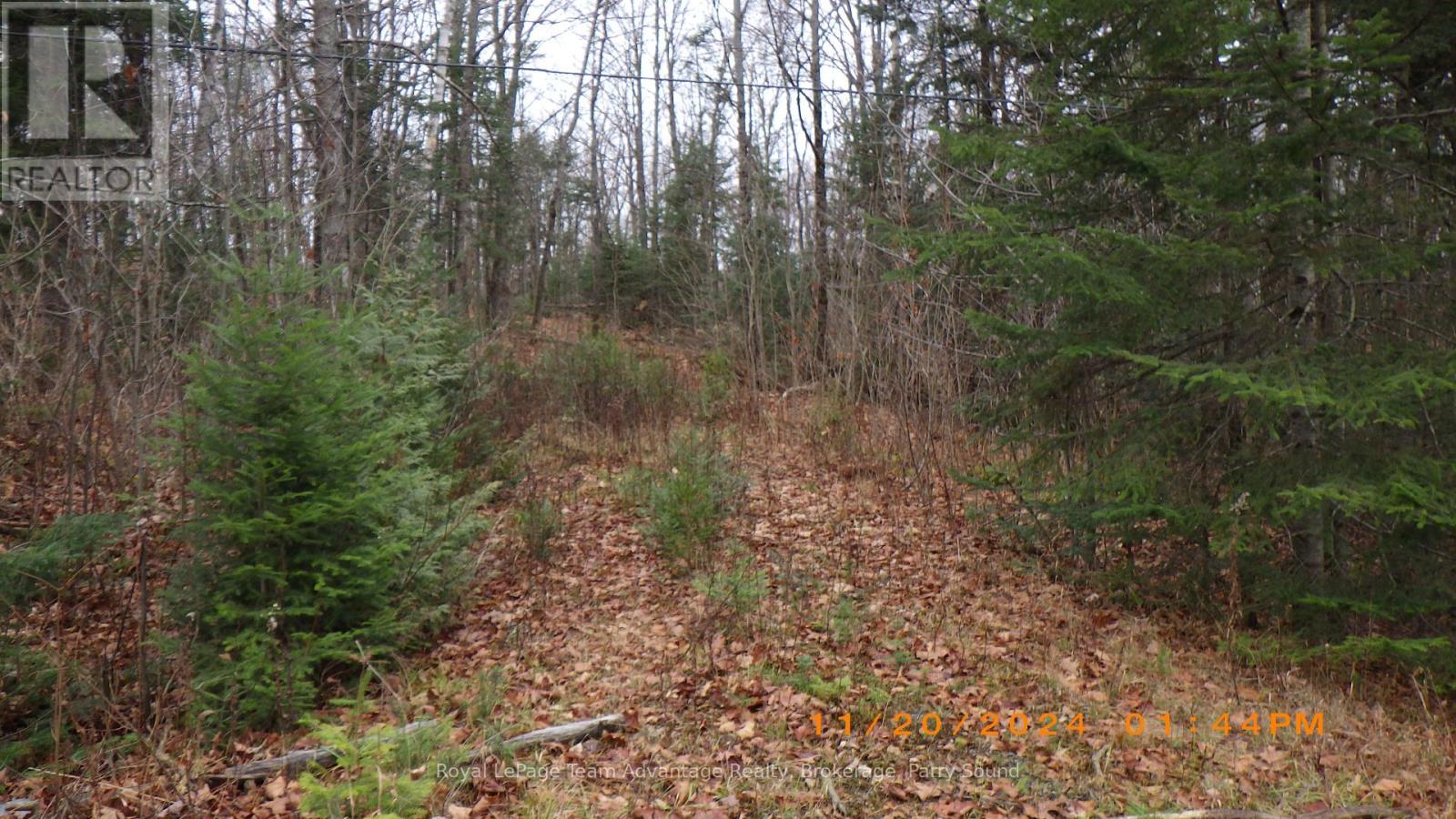 36 Ladds Road, Whitestone, Ontario  P0A 1G0 - Photo 5 - X10440206