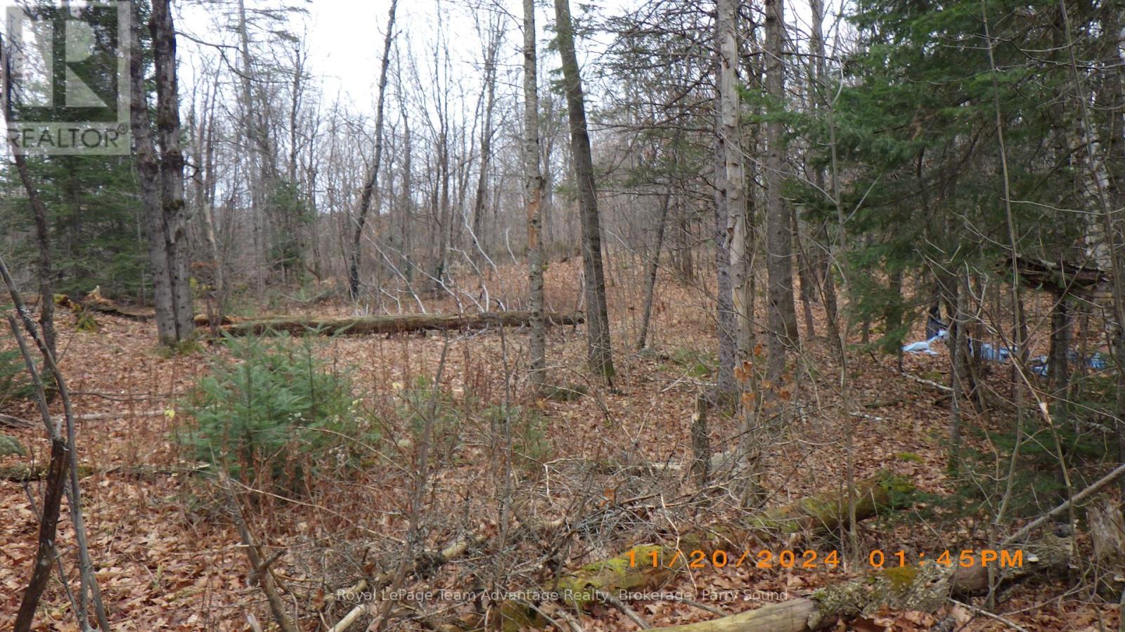 36 Ladds Road, Whitestone, Ontario  P0A 1G0 - Photo 7 - X10440206