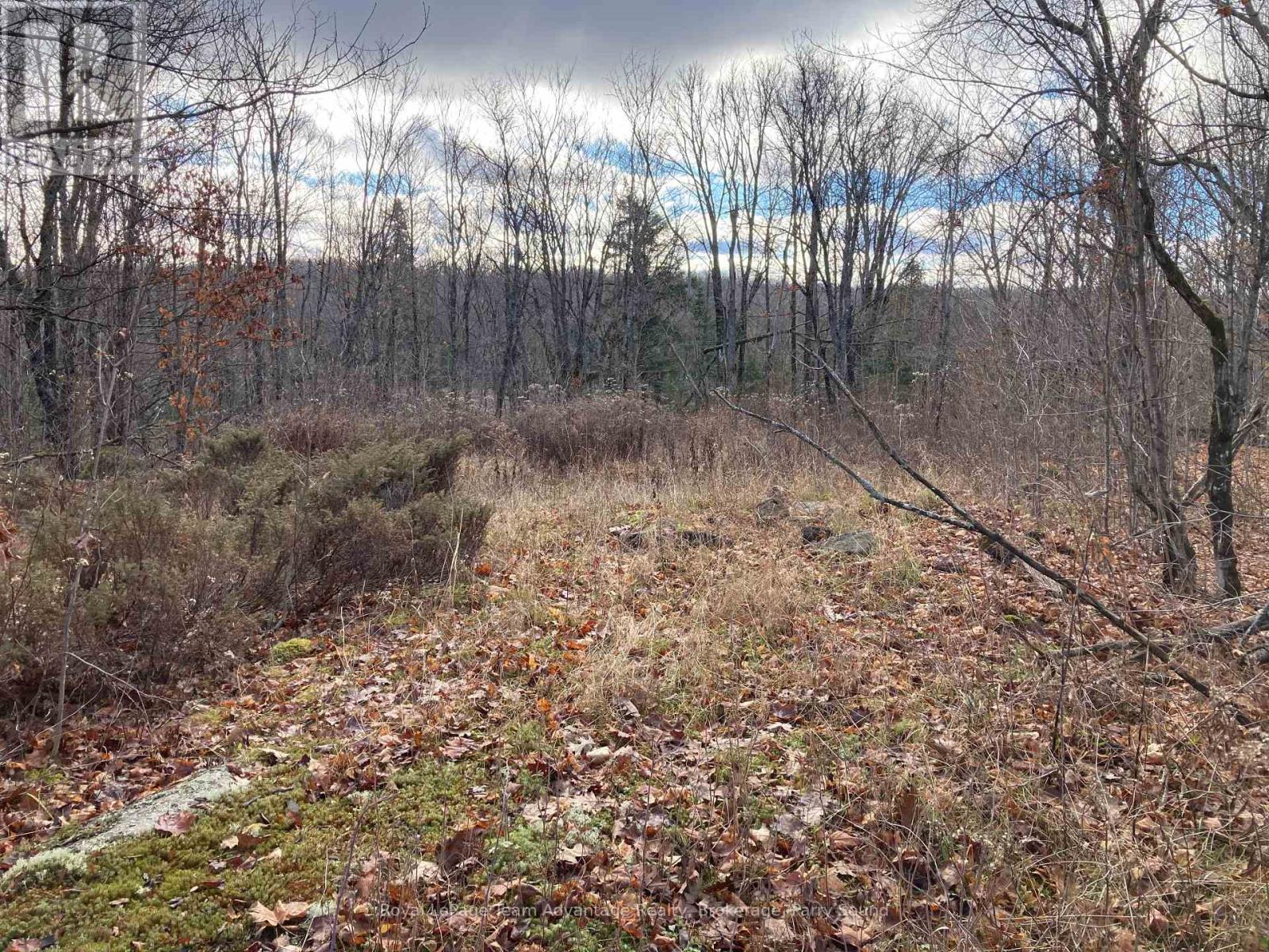 36 Ladds Road, Whitestone, Ontario  P0A 1G0 - Photo 8 - X10440206