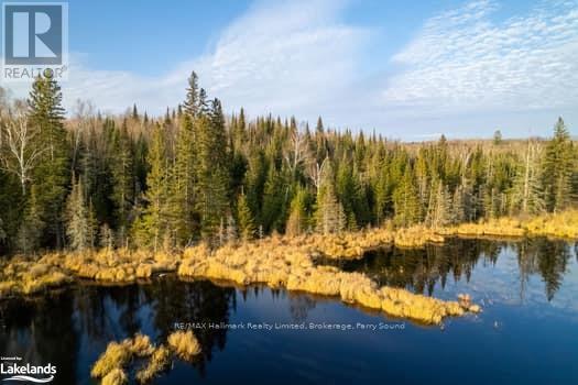 1854 Hwy 522, Nipissing, Ontario  P0H 2L0 - Photo 2 - X10440300