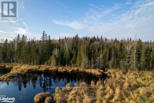 1854 Hwy 522, Nipissing, Ontario  P0H 2L0 - Photo 22 - X10440300