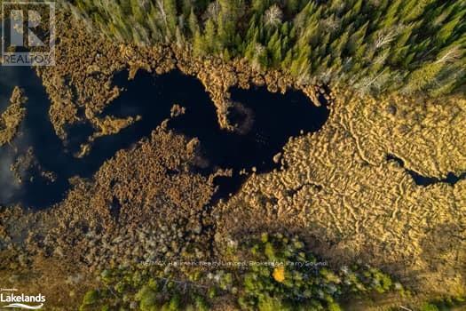 1854 Hwy 522, Nipissing, Ontario  P0H 2L0 - Photo 24 - X10440300