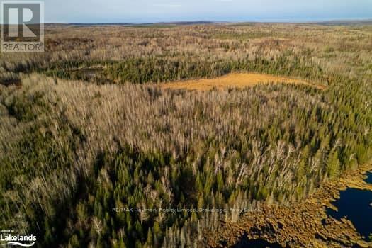 1854 Hwy 522, Nipissing, Ontario  P0H 2L0 - Photo 3 - X10440300