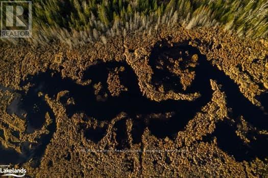 1854 Hwy 522, Nipissing, Ontario  P0H 2L0 - Photo 4 - X10440300