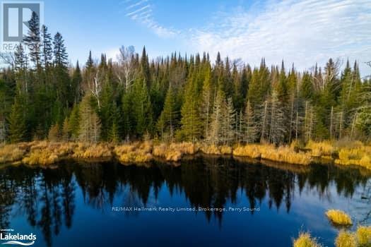 1854 Hwy 522, Nipissing, Ontario  P0H 2L0 - Photo 9 - X10440300