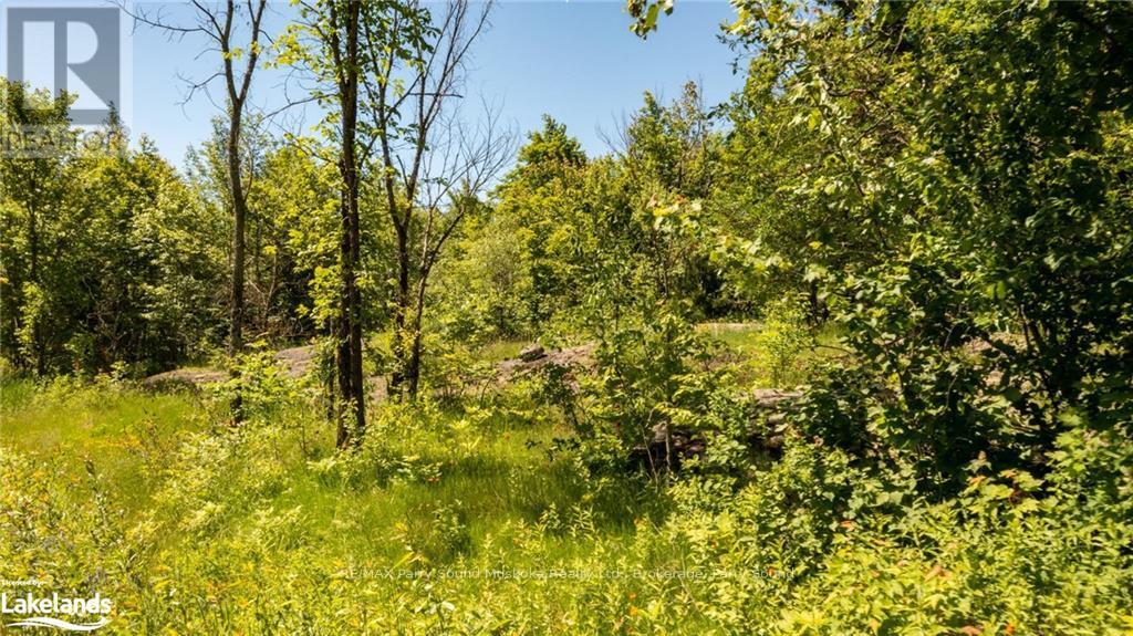 384 Mcdougall Road, Mcdougall, Ontario  P2A 0B3 - Photo 2 - X10440301