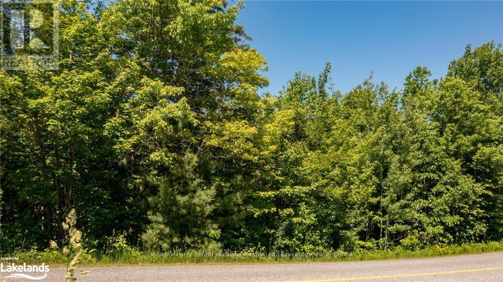 384 Mcdougall Road, Mcdougall, Ontario  P2A 0B3 - Photo 3 - X10440301