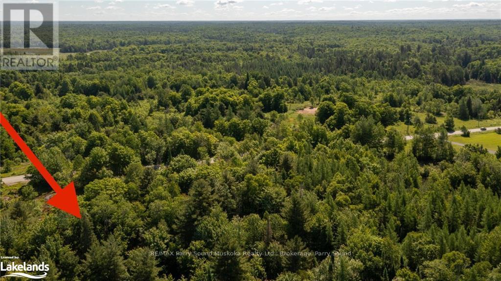 384 Mcdougall Road, Mcdougall, Ontario  P2A 0B3 - Photo 6 - X10440301