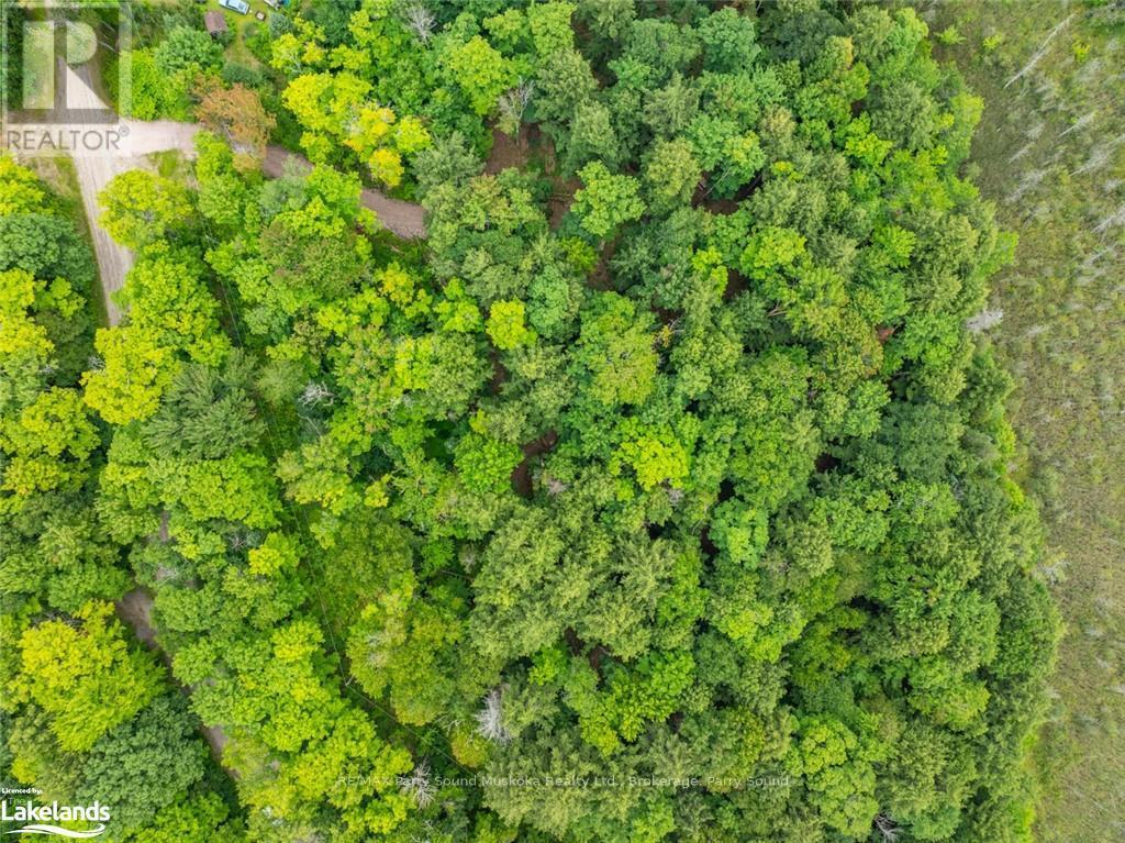 131 Moonwing Road, Magnetawan, Ontario  P0A 1A0 - Photo 10 - X10440303