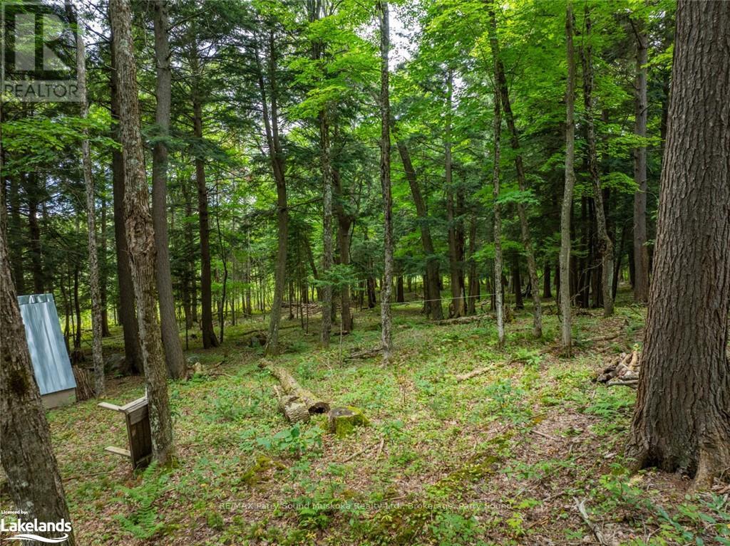 131 Moonwing Road, Magnetawan, Ontario  P0A 1A0 - Photo 19 - X10440303