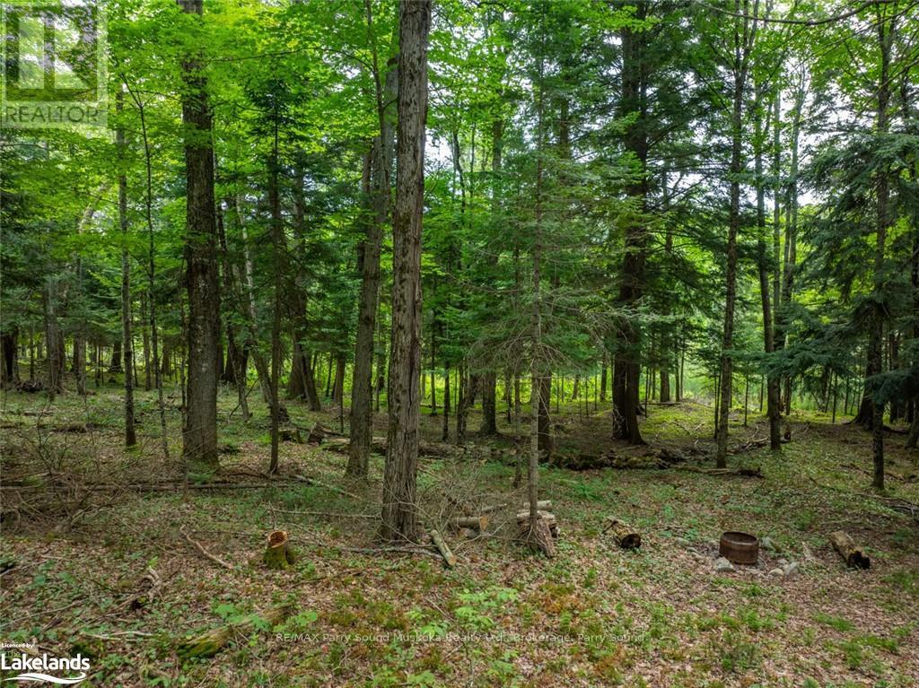 131 Moonwing Road, Magnetawan, Ontario  P0A 1A0 - Photo 21 - X10440303