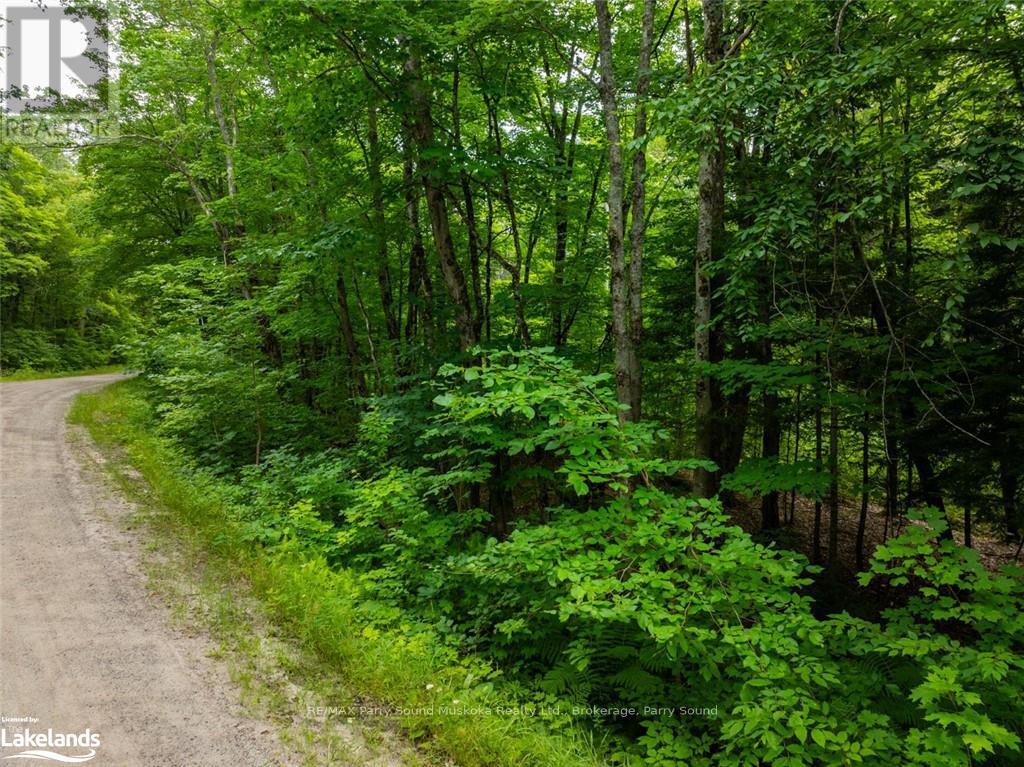 131 Moonwing Road, Magnetawan, Ontario  P0A 1A0 - Photo 23 - X10440303