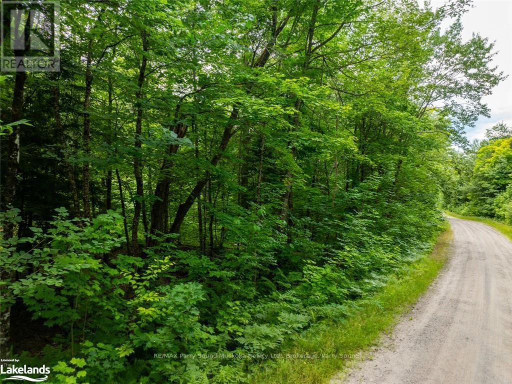 131 Moonwing Road, Magnetawan, Ontario  P0A 1A0 - Photo 25 - X10440303