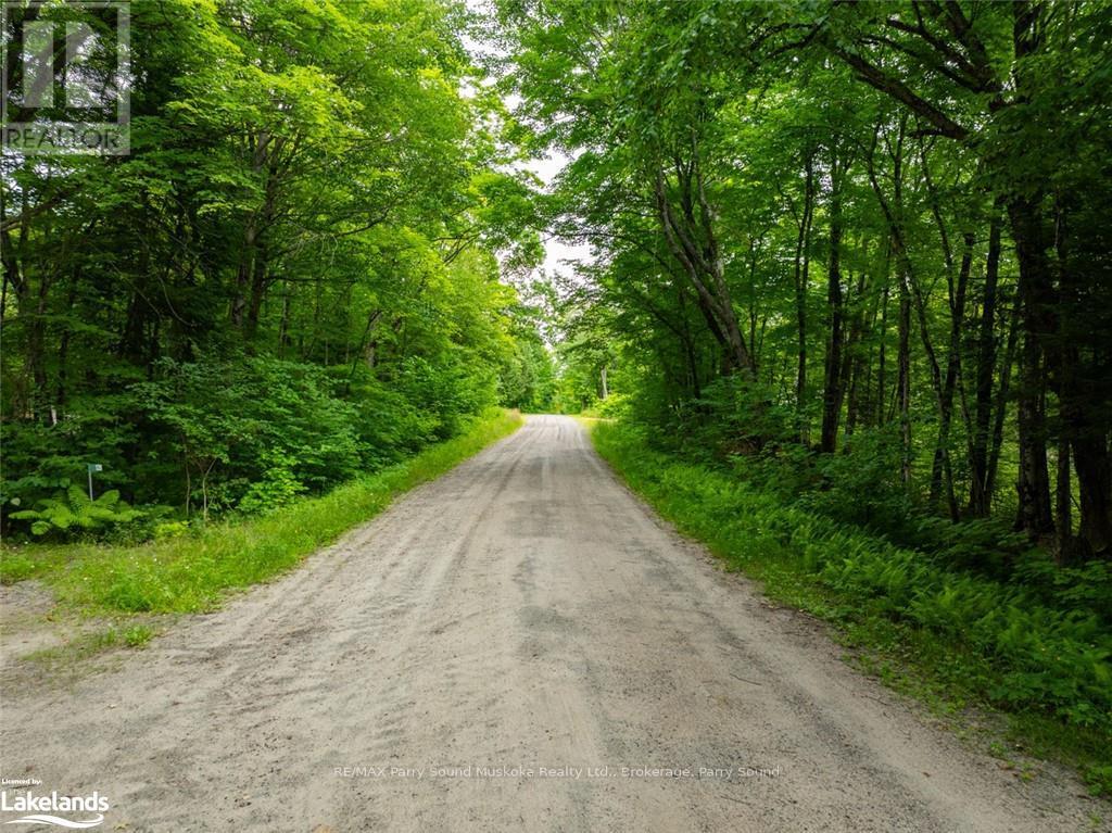 131 Moonwing Road, Magnetawan, Ontario  P0A 1A0 - Photo 3 - X10440303