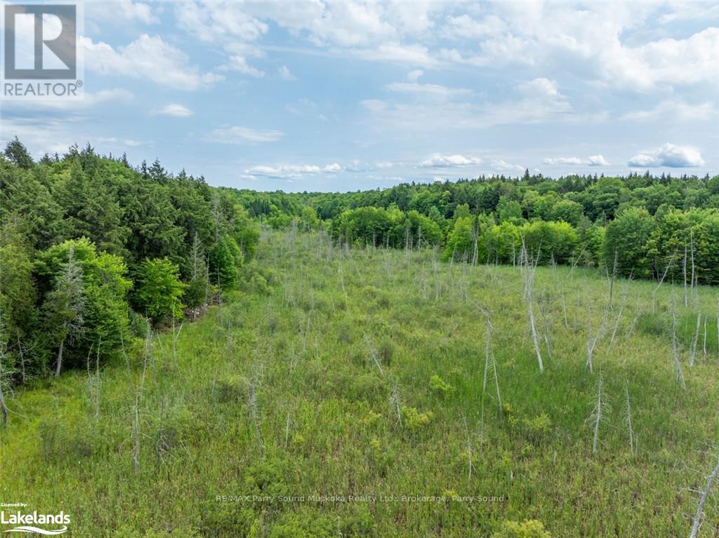 131 Moonwing Road, Magnetawan, Ontario  P0A 1A0 - Photo 31 - X10440303