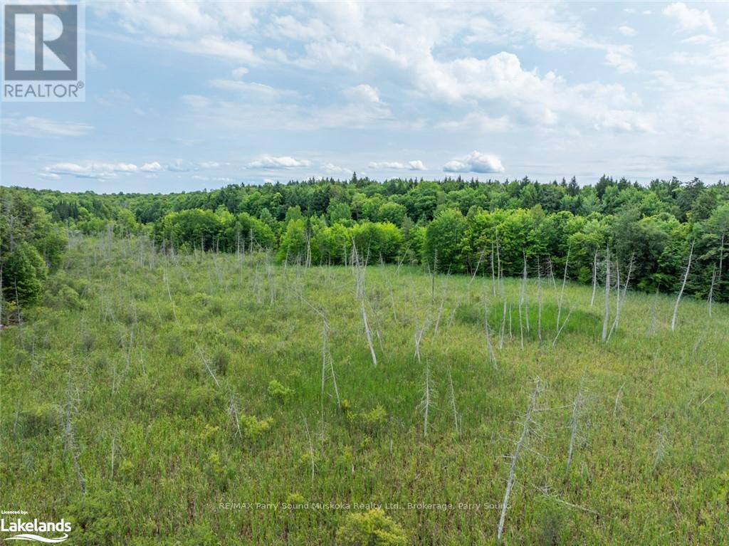 131 Moonwing Road, Magnetawan, Ontario  P0A 1A0 - Photo 32 - X10440303