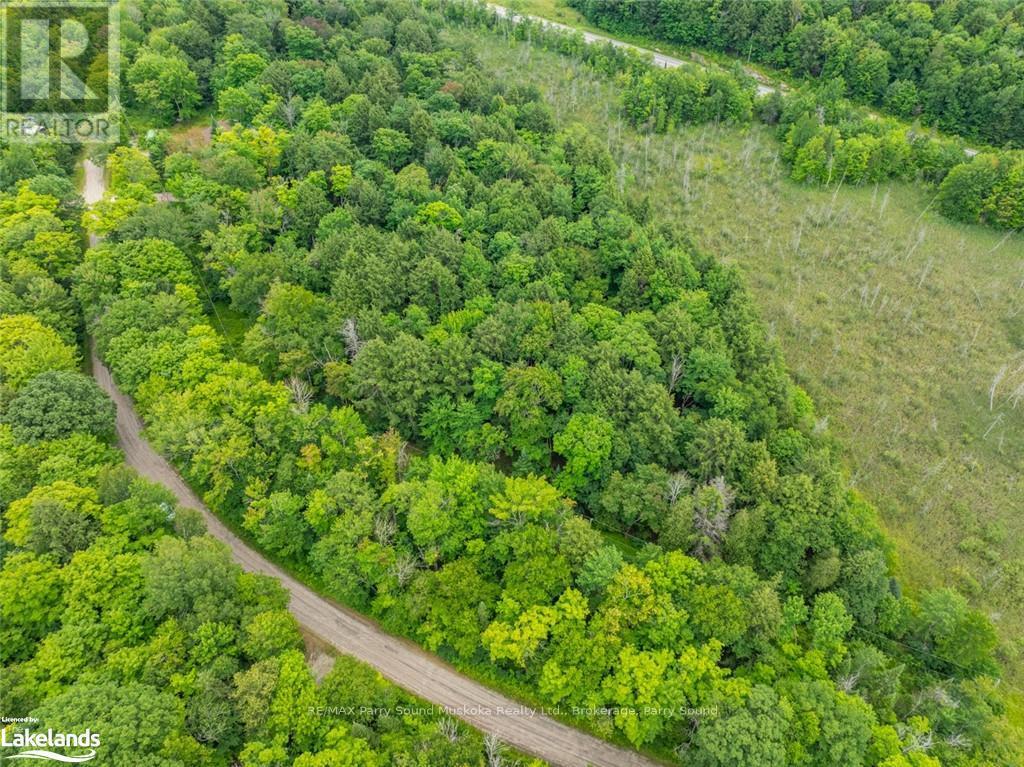 131 Moonwing Road, Magnetawan, Ontario  P0A 1A0 - Photo 9 - X10440303