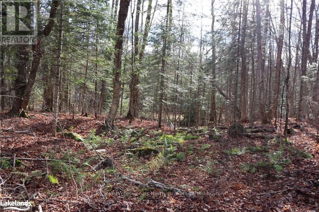 0 Clive Trail, Dysart Et Al, Ontario  K0M 1S0 - Photo 10 - X10440321