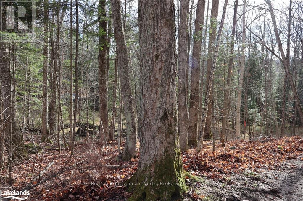 0 Clive Trail, Dysart Et Al, Ontario  K0M 1S0 - Photo 11 - X10440321