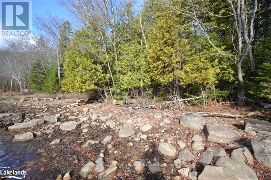 0 Clive Trail, Dysart Et Al, Ontario  K0M 1S0 - Photo 4 - X10440321