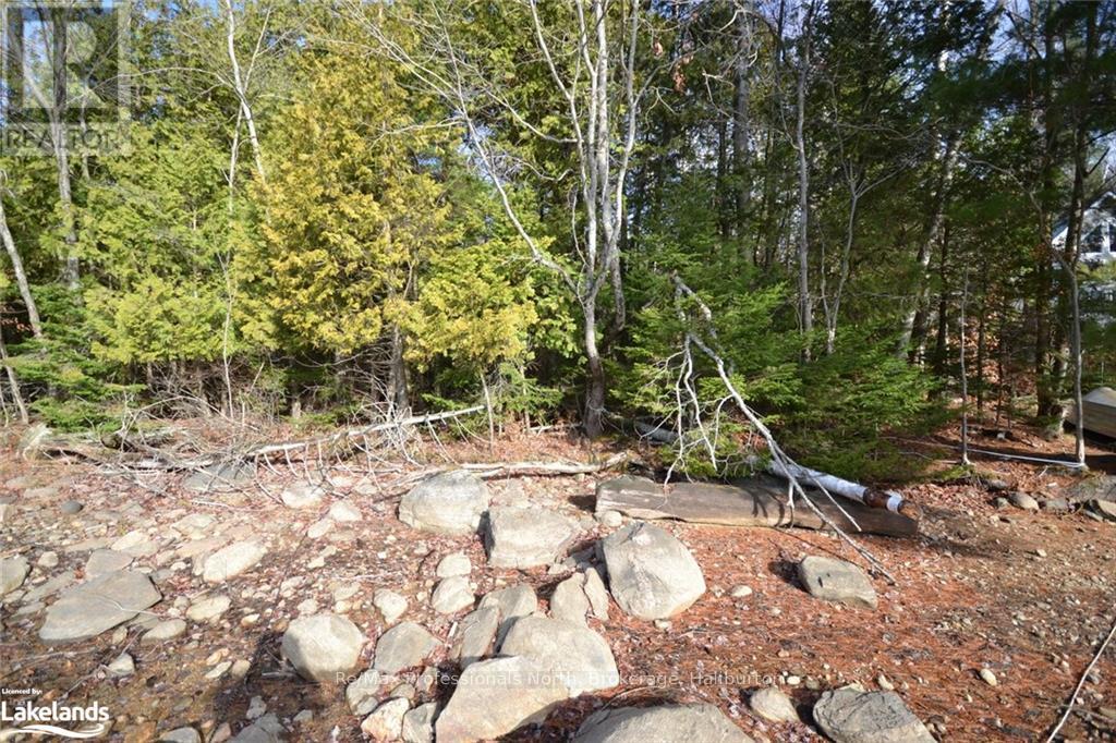 0 Clive Trail, Dysart Et Al, Ontario  K0M 1S0 - Photo 5 - X10440321