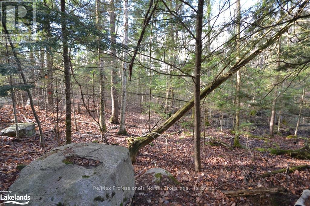 0 Clive Trail, Dysart Et Al, Ontario  K0M 1S0 - Photo 6 - X10440321