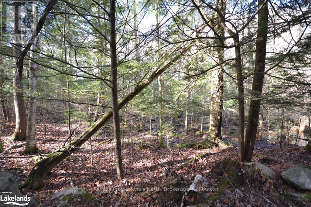 0 Clive Trail, Dysart Et Al, Ontario  K0M 1S0 - Photo 7 - X10440321