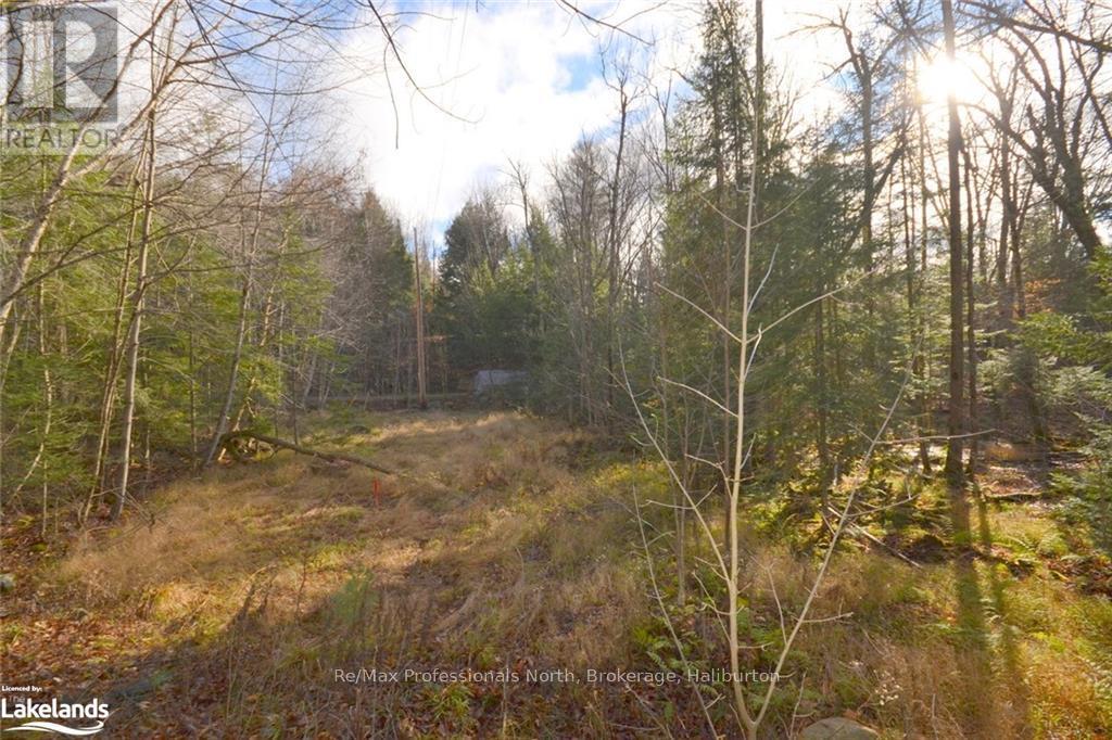0 Clive Trail, Dysart Et Al, Ontario  K0M 1S0 - Photo 8 - X10440321