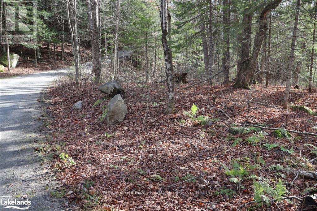 0 Clive Trail, Dysart Et Al, Ontario  K0M 1S0 - Photo 9 - X10440321
