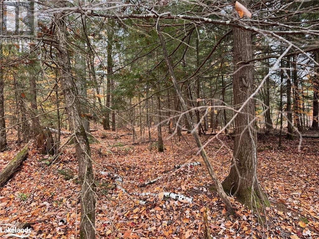 0 Latvian Road, Bracebridge, Ontario  P1L 0A1 - Photo 2 - X10440439