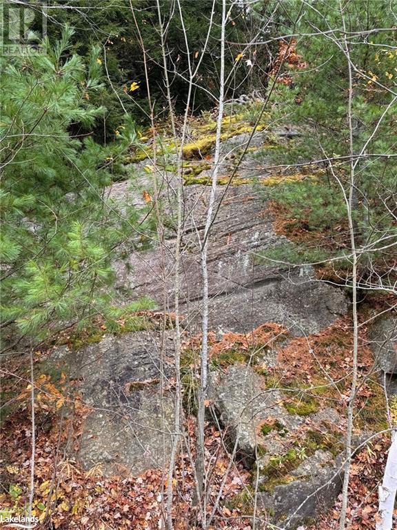 0 Latvian Road, Bracebridge, Ontario  P1L 0A1 - Photo 3 - X10440439