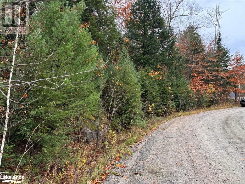 0 Latvian Road, Bracebridge, Ontario  P1L 0A1 - Photo 4 - X10440439