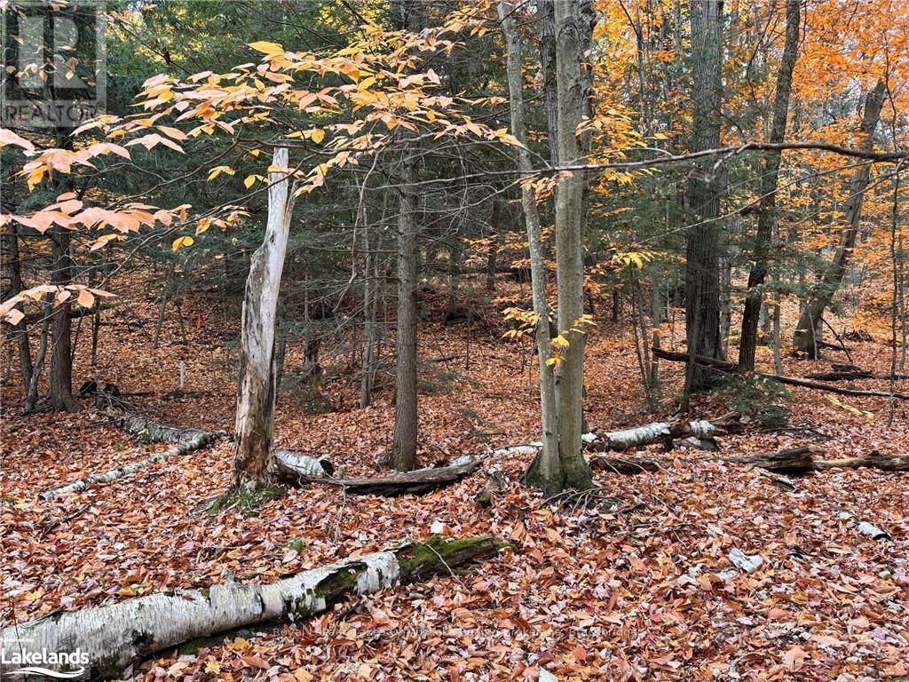 0 Latvian Road, Bracebridge, Ontario  P1L 0A1 - Photo 5 - X10440439