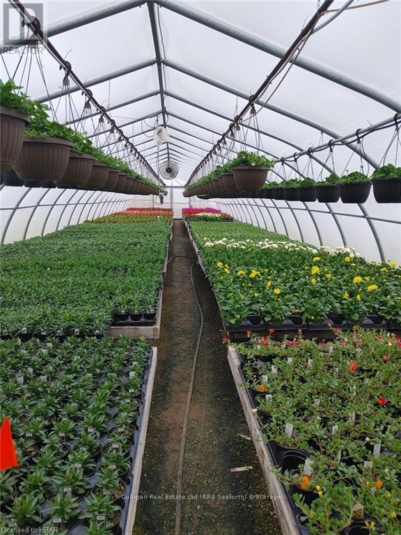 3862 Trafalgar Street, Thames Centre, Ontario  N6M 1H6 - Photo 11 - X10780029