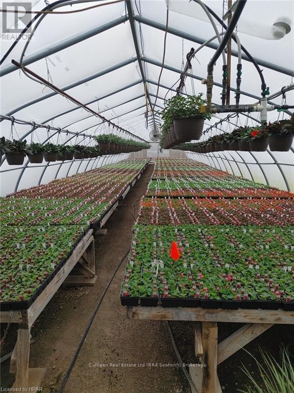 3862 Trafalgar Street, Thames Centre, Ontario  N6M 1H6 - Photo 8 - X10780029