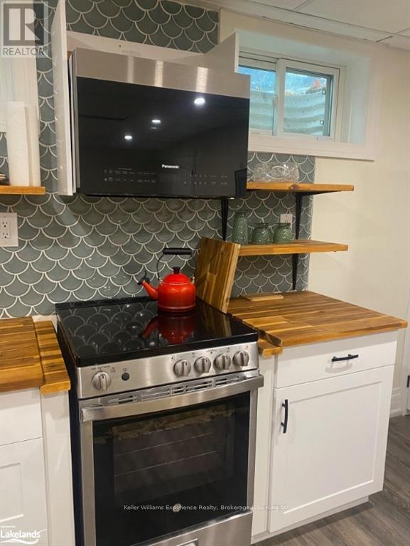 Basement - 19 Jane Crescent, Barrie (Allandale Heights), Ontario  L4N 3T7 - Photo 6 - S10439981