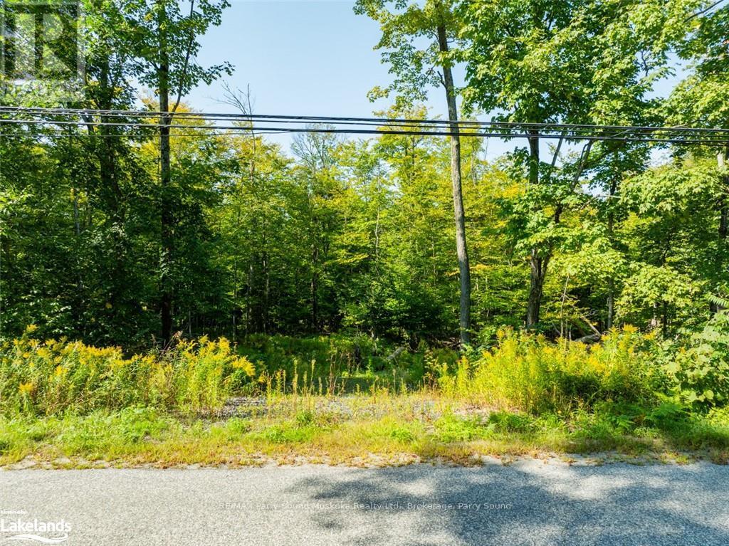 18 Burnside Bridge Road, Mcdougall, Ontario  P2A 2W9 - Photo 15 - X10440276