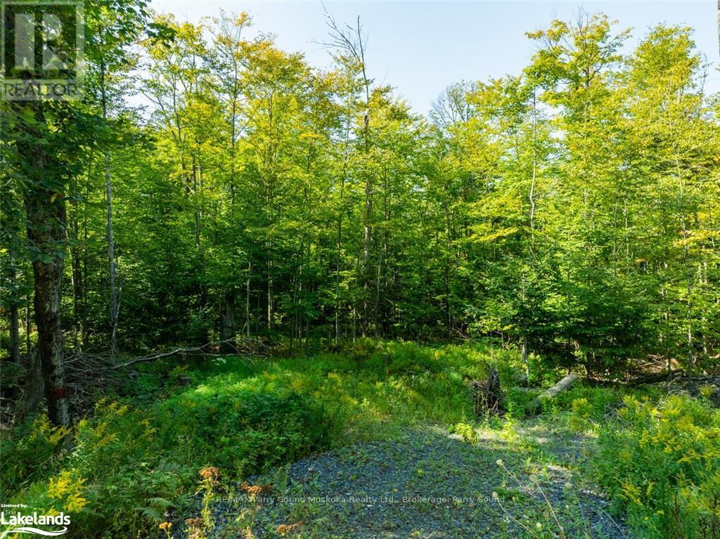 18 Burnside Bridge Road, Mcdougall, Ontario  P2A 2W9 - Photo 16 - X10440276