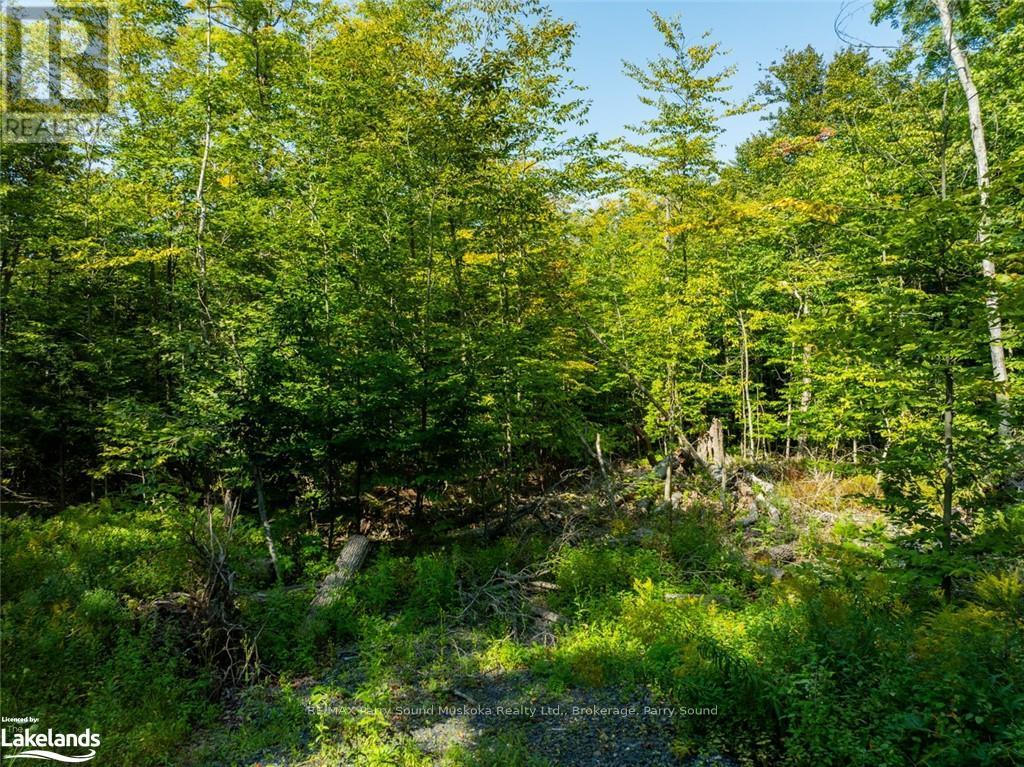 18 Burnside Bridge Road, Mcdougall, Ontario  P2A 2W9 - Photo 17 - X10440276