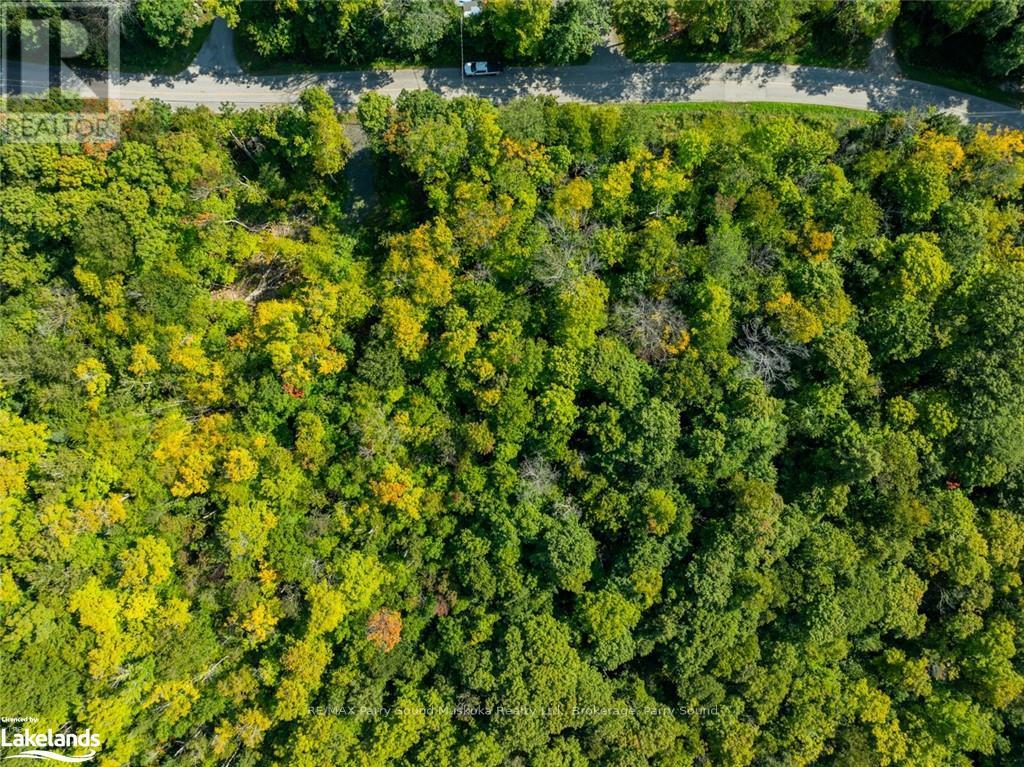 18 Burnside Bridge Road, Mcdougall, Ontario  P2A 2W9 - Photo 19 - X10440276