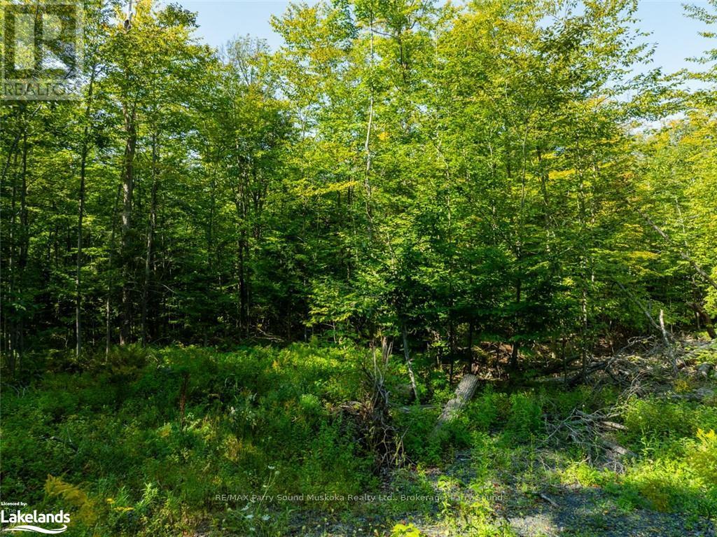 18 Burnside Bridge Road, Mcdougall, Ontario  P2A 2W9 - Photo 3 - X10440276