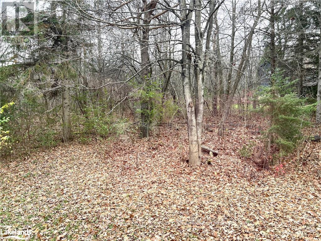 116 Castleview Road, Blue Mountains, Ontario  L9Y 0R6 - Photo 20 - X10439584