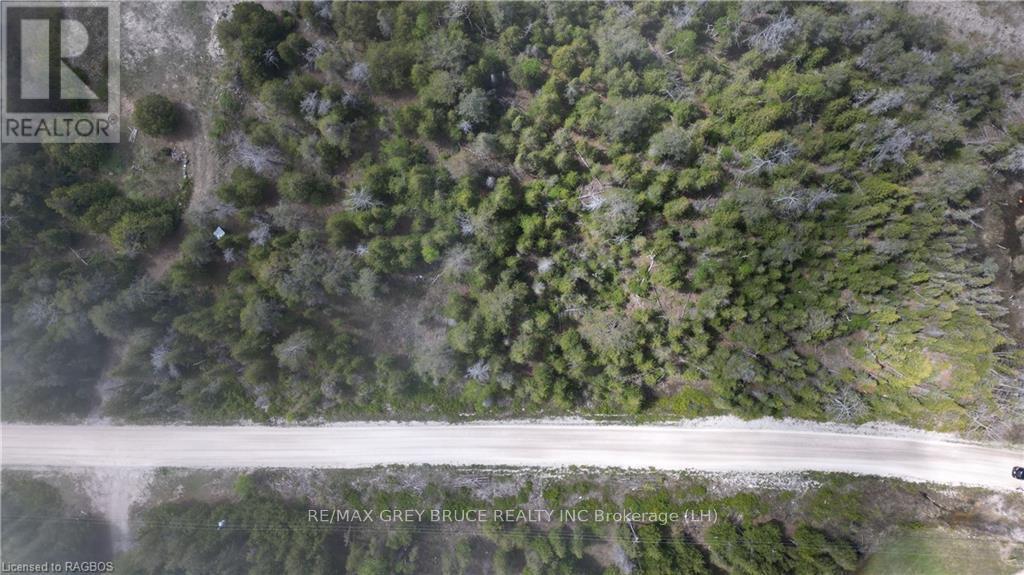 Lt 255 Pl 433 Pedwell Pt Drive, Northern Bruce Peninsula, Ontario  N0H 2R0 - Photo 24 - X10845663